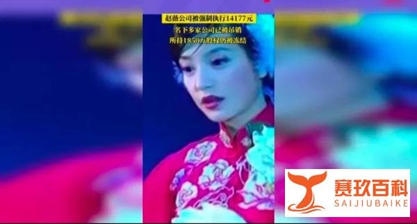 赵薇及公司被强制执行14177元