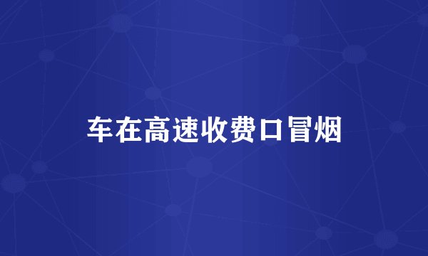 车在高速收费口冒烟