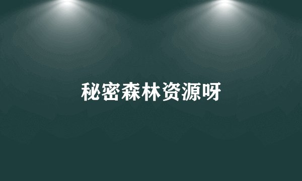 秘密森林资源呀