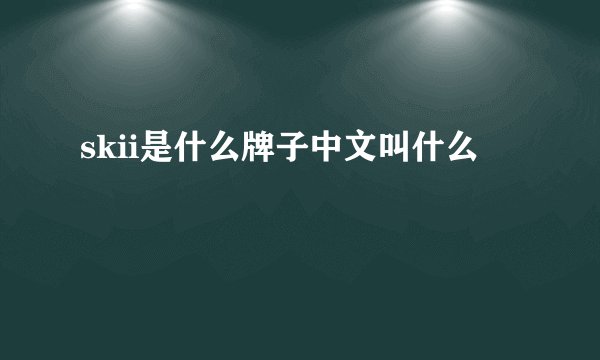 skii是什么牌子中文叫什么