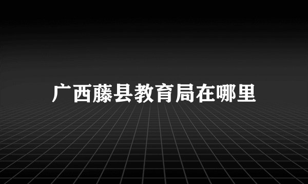 广西藤县教育局在哪里