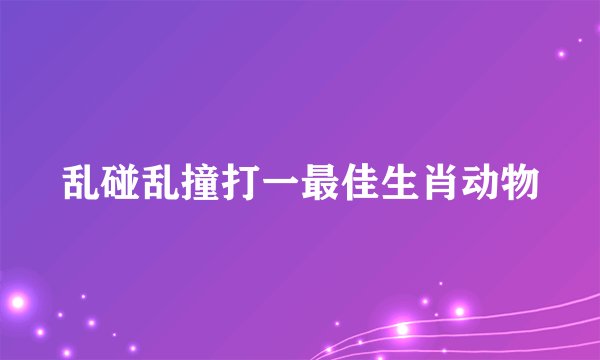 乱碰乱撞打一最佳生肖动物