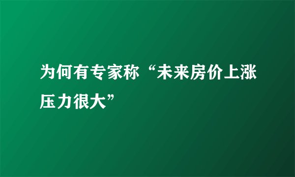 为何有专家称“未来房价上涨压力很大”