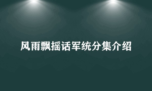 风雨飘摇话军统分集介绍