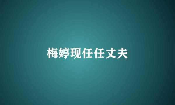 梅婷现任任丈夫