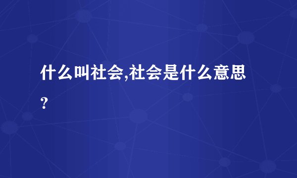 什么叫社会,社会是什么意思？