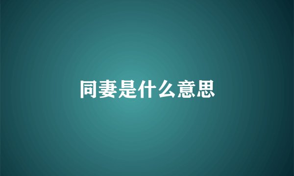 同妻是什么意思