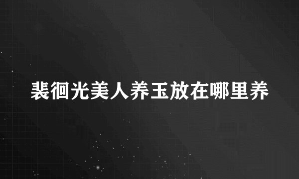 裴徊光美人养玉放在哪里养