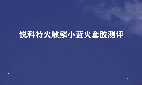 锐科特火麒麟小蓝火套胶测评