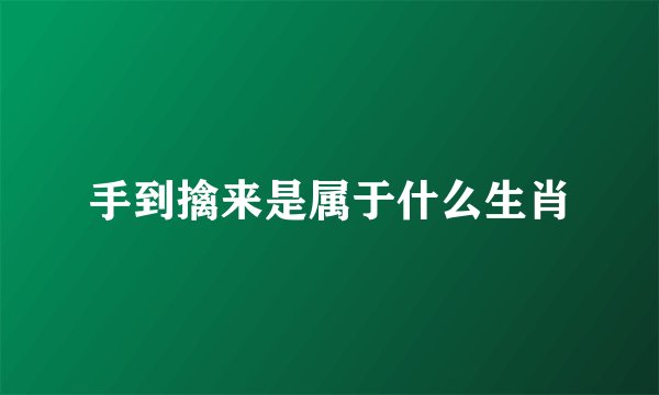 手到擒来是属于什么生肖