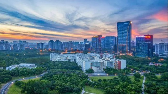 深圳大学讲师因交不起网费向校方求助，背后究竟有何猫腻？
