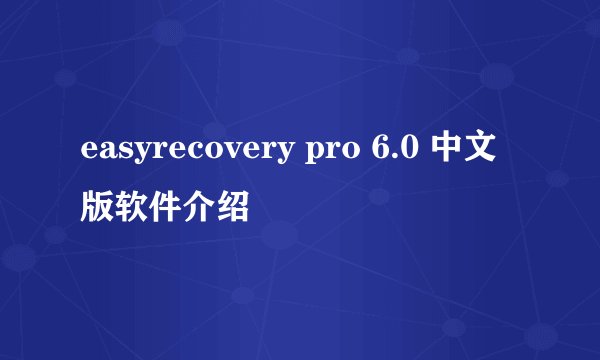 easyrecovery pro 6.0 中文版软件介绍