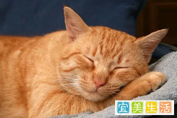 今日处暑:每天早睡一小时,真能解秋乏?