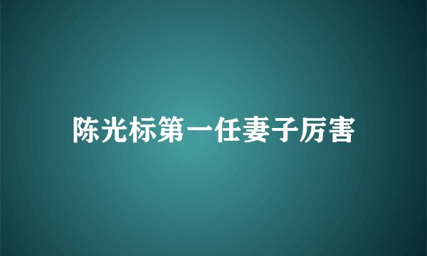 陈光标第一任妻子厉害