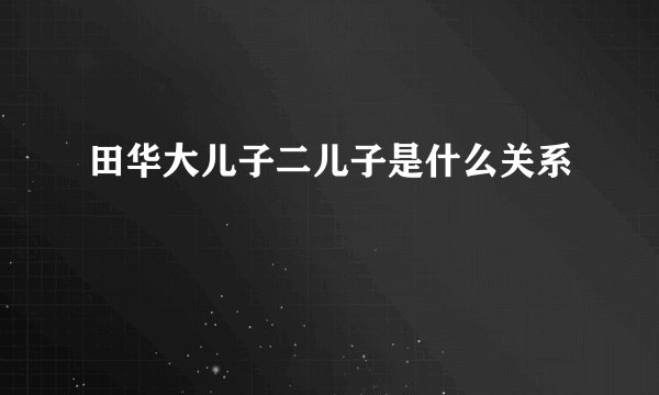 田华大儿子二儿子是什么关系
