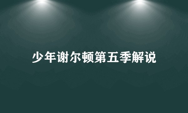 少年谢尔顿第五季解说