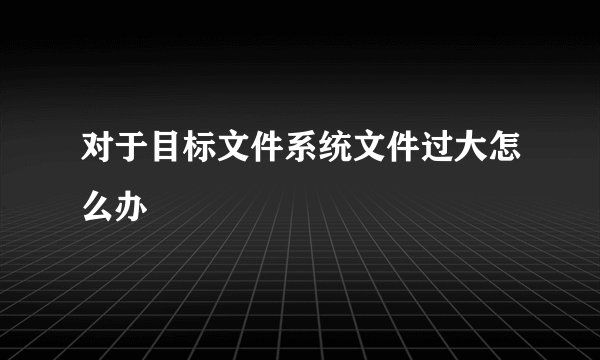 对于目标文件系统文件过大怎么办