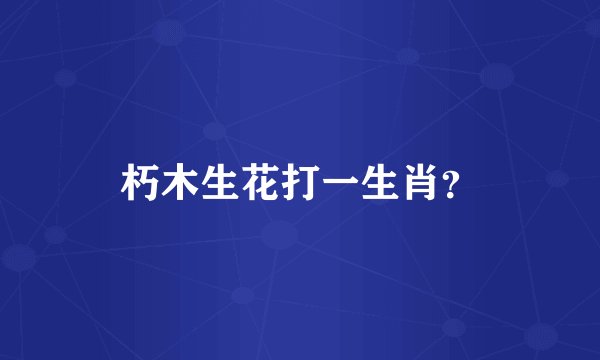 朽木生花打一生肖？