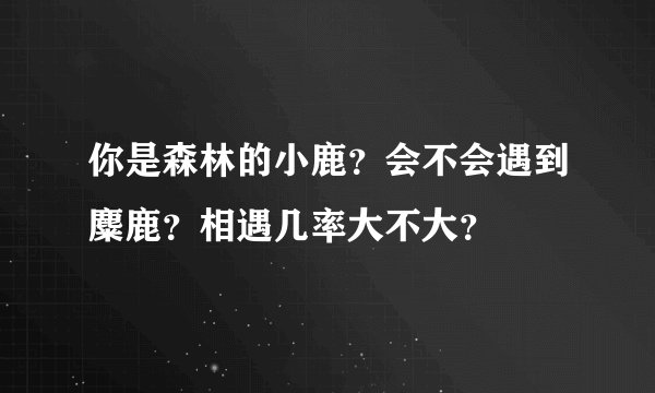 你是森林的小鹿？会不会遇到麋鹿？相遇几率大不大？