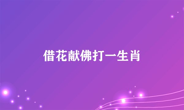 借花献佛打一生肖