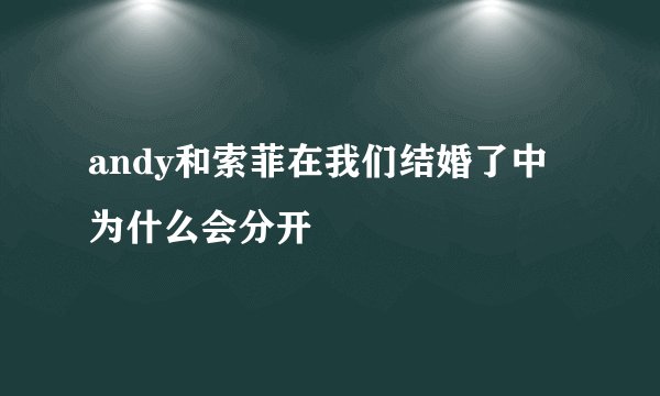 andy和索菲在我们结婚了中为什么会分开