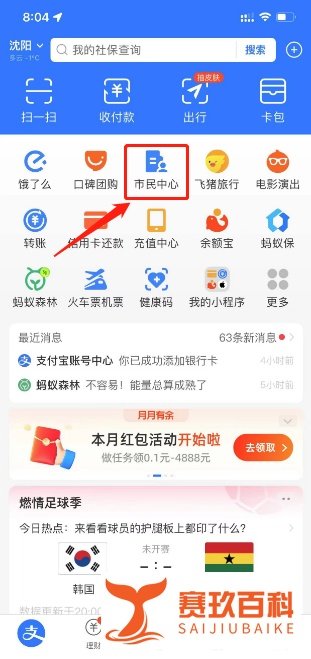 沈阳新农合怎么网上缴费