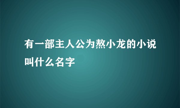 有一部主人公为熬小龙的小说叫什么名字