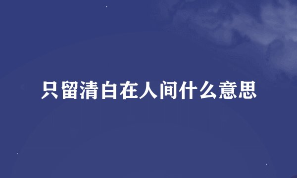 只留清白在人间什么意思