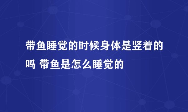 带鱼睡觉的时候身体是竖着的吗 带鱼是怎么睡觉的