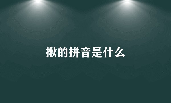 揪的拼音是什么