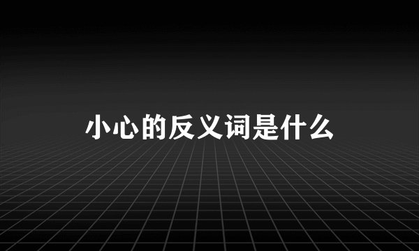 小心的反义词是什么