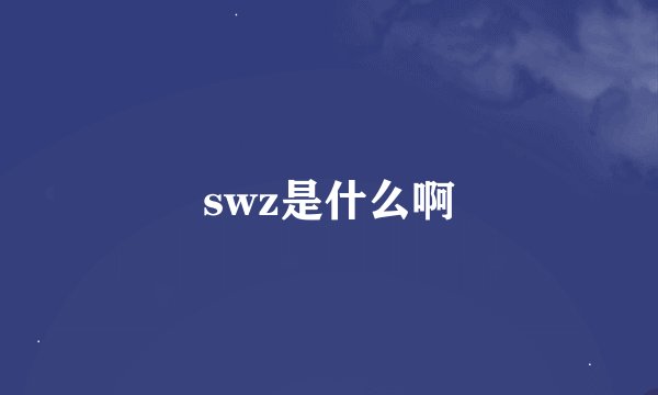 swz是什么啊