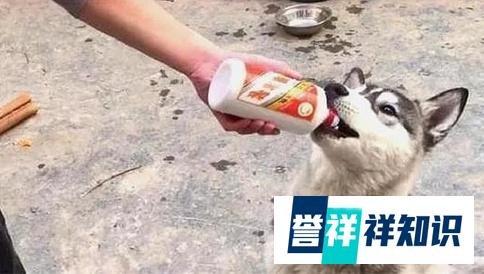 “茅台院士”的入选，究竟是打了谁的脸？