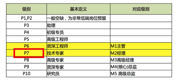 p1到p12的岗位级别是什么？