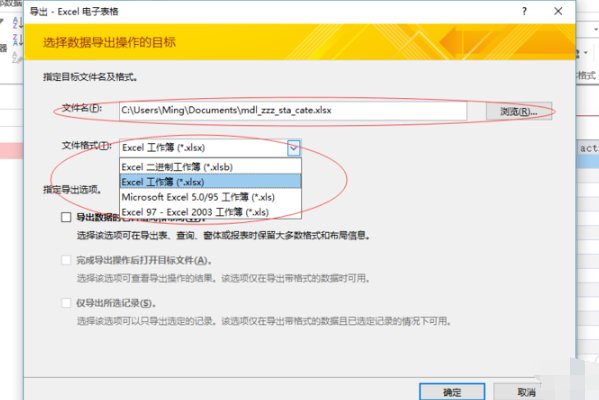 怎么把mdb文件转换成xls文件
