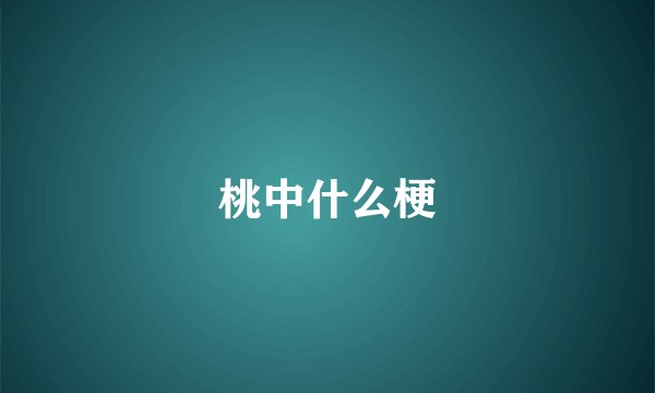 桃中什么梗