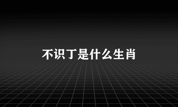 不识丁是什么生肖