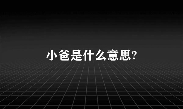 小爸是什么意思?