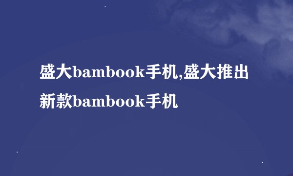 盛大bambook手机,盛大推出新款bambook手机