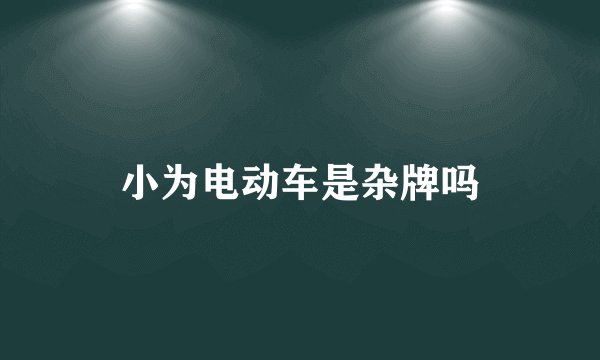 小为电动车是杂牌吗