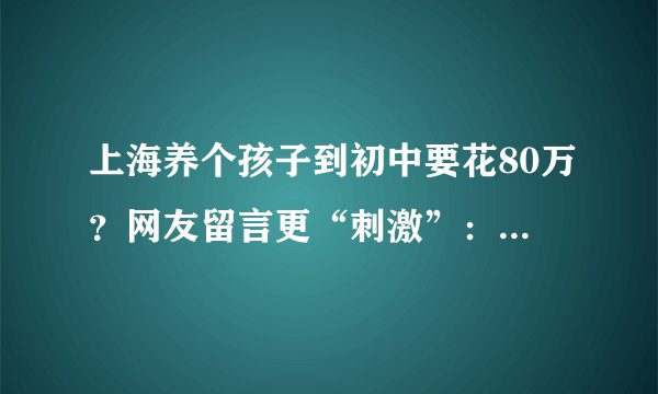 上海养个孩子到初中要花80万？网友留言更“刺激”：月入4万不如狗