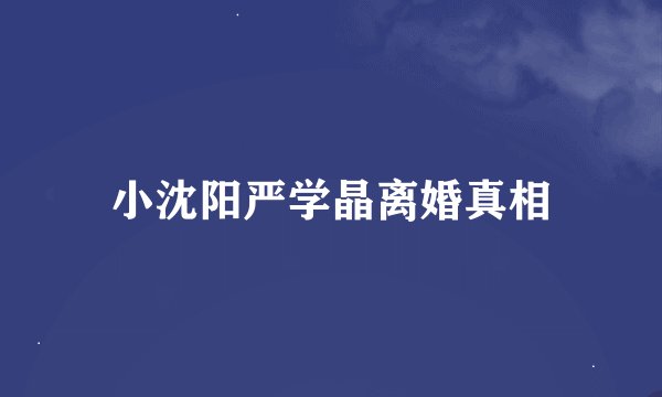 小沈阳严学晶离婚真相