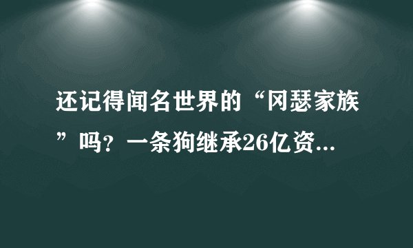 还记得闻名世界的“冈瑟家族”吗？一条狗继承26亿资产，如今怎样了？
