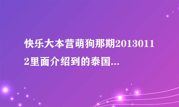快乐大本营萌狗那期20130112里面介绍到的泰国电影是哪一部?