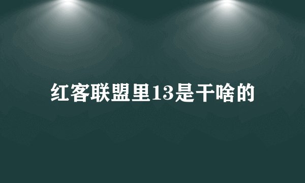 红客联盟里13是干啥的