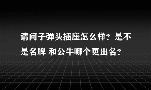 请问子弹头插座怎么样？是不是名牌 和公牛哪个更出名？