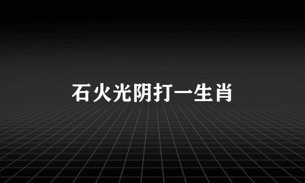 石火光阴打一生肖
