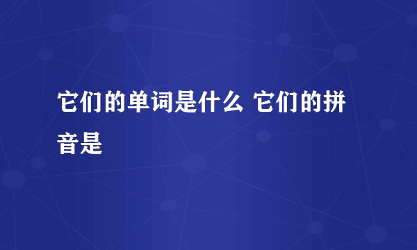它们的单词是什么 它们的拼音是