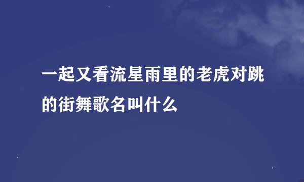 一起又看流星雨里的老虎对跳的街舞歌名叫什么