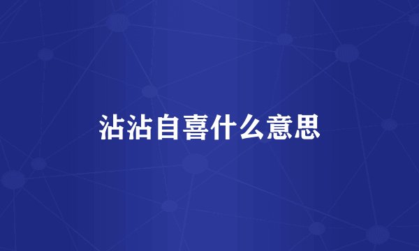 沾沾自喜什么意思